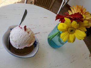 ice cream at Kippy's Ice Cream Shop in Venice