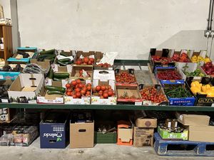 Fresh veg   at Black Isle Berries  in Muir Of Ord