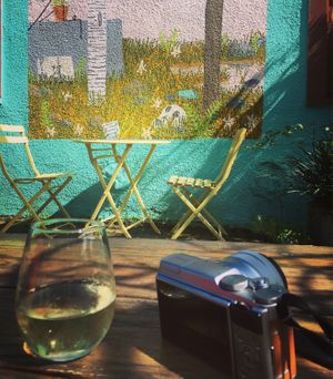 Cava in the yard at Sneaky Pickle & Bar Brine in New Orleans