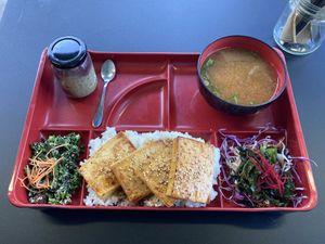 Bento box with miso and mulberry pudding  at Wafu Kitchen in Alexandria