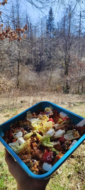  at Vor lauter Bäumen B&B in Walkenried