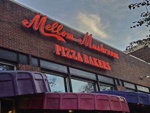  at Mellow Mushroom in Chattanooga