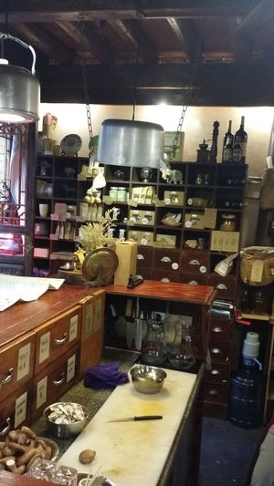 Counter seating around small kitchen   at Hungry Buddha - Maybe closed in Shaxi