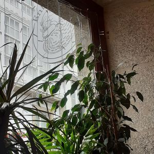 Interior at Entre Pedras in Santiago De Compostela