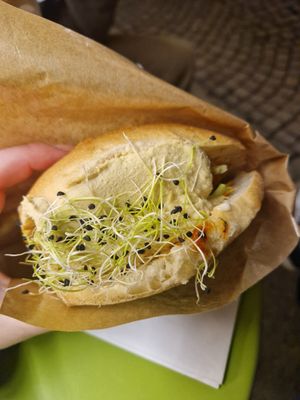  at Pittaria in Solothurn