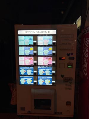 All vegan coconut ice cream  at Frozen Station II in Osaka