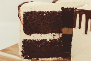  at The Rooted Alien in Rhinelander