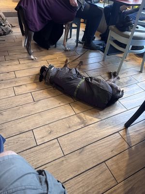   at Coorie by the Coast in Dunfermline