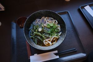 Soy sauce udon, salty soup and chewy udon, really delicious. Labelled vegan on the menu boards. at Hanamizuki Shirakawa in Shirakawa