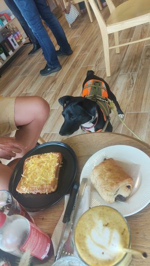  at Lucy's Coffee in Lescar