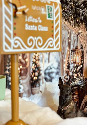  at Lucy's Coffee in Lescar