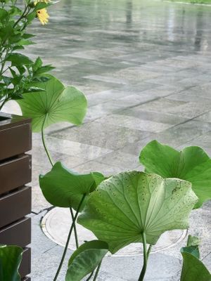   at One Side Juice - 一面汁原·纯素 in Chongqing