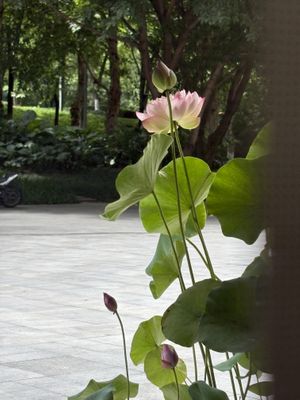   at One Side Juice - 一面汁原·纯素 in Chongqing