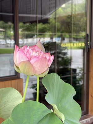   at One Side Juice - 一面汁原·纯素 in Chongqing