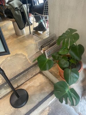  at Pascal Specialty Coffee in Madrid