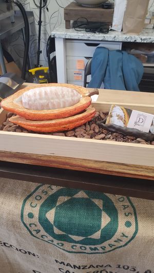 Decor at Dwaar Chocolate in Keego Harbor