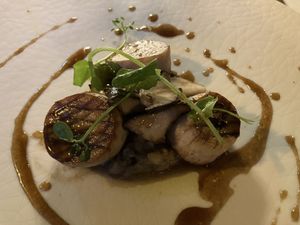 Paddenstoel met aubergine   at The SHOEGE in S-hertogenbosch