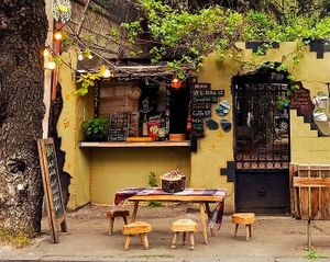  at Rafa-veg-dog🌱  in Tbilisi