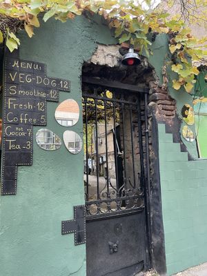   at Rafa-veg-dog🌱  in Tbilisi