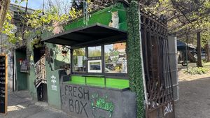   at Rafa-veg-dog🌱  in Tbilisi