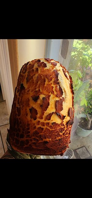 Vegan Dutch Crunch at Heritage Rise Sourdough in Elk Grove