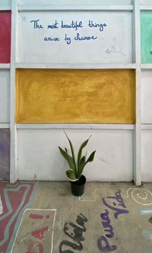 ✨ at Como En Mi Casa in Puerto Viejo De Talamanca