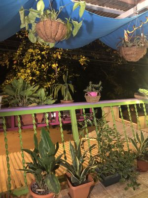 Outside balcony seating   at Como En Mi Casa in Puerto Viejo De Talamanca