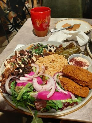 Vegan platter at Ayat - Bushwick in Brooklyn
