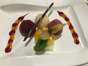 Homemade cassis, plum and pear sherbet. at Knittel's Restaurant Kreuzberg in Tubingen