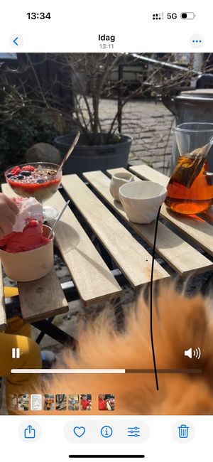  Our fika for the day   at Den Blå Ged in Faarevejle