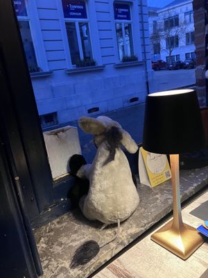 De ezel  at De Ezel in Tongeren