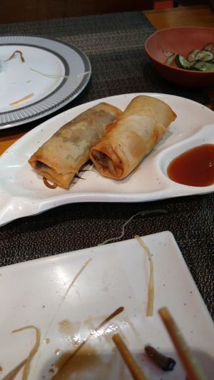 harumaki de cogumelo at Okinawa Restaurante in Macae