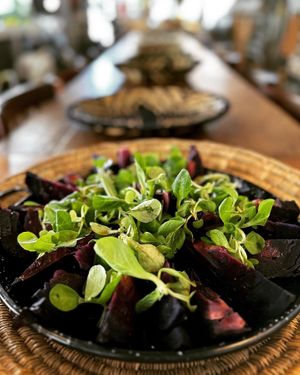 Grilled cabbage with honey vinaigrette at Mondo Mediterraneo in Amsterdam