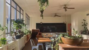  at Raw Living Kitchen in Waynesville