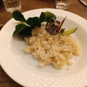  at CURIEUSES  in Dijon