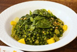 Piombi w/spinach cream at CURIEUSES  in Dijon