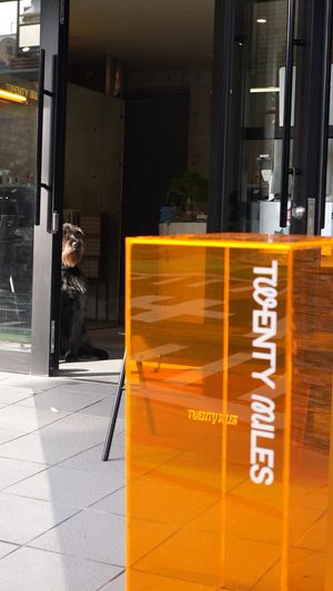  at Twenty Miles in Fukuoka