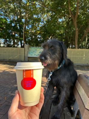  at Twenty Miles in Fukuoka