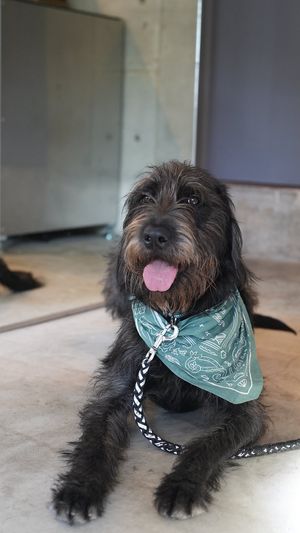 My name is Mile😉 at Twenty Miles in Fukuoka