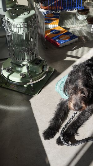  at Twenty Miles in Fukuoka