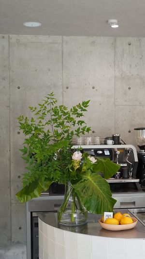  at Twenty Miles in Fukuoka