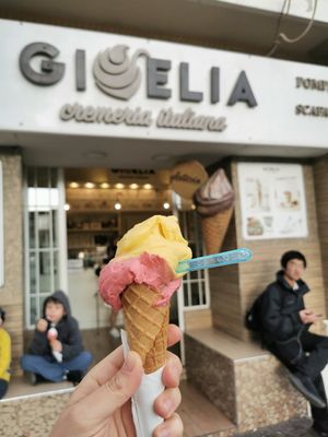 Vegan & gf ice cream at Gioelia in Pompei