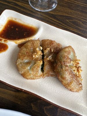 Veggie dumpling appetizer   at Thai Rak Thai  in Scranton