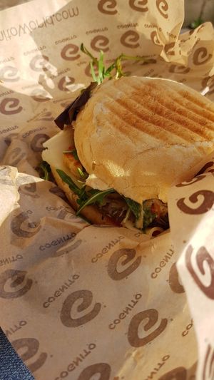 Grilled Cheese Burger (Vegetarian Burger) at Cognito in Erfurt