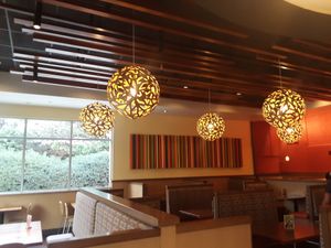 Beautiful lights! at Veggie Grill by Next Level in Carlsbad