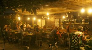 Samadi Kitchen Lab offering one of their special dinner events.
On our menu we offer creative delights with fresh produce, trying to keep as much as possible local and home made.

We serve an international cuisine, raw, vegan, vegetarian. at Samadi Kitchen Lab in Canggu