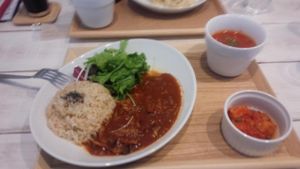 Tasty Hayashi Rice  at AIN SOPH.Soar in Tokyo