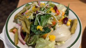 Side salad that came with one of the entrees at Traditionsgasthof Weissbacher in Wildschonau