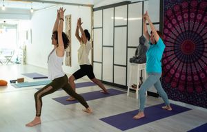 Puedes reservar también una clase de yoga terapeutico, aereal o tibetano at Luz & Tierra in Malaga