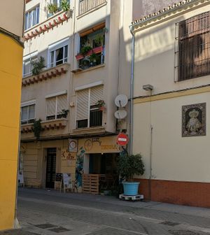  at Luz & Tierra in Malaga